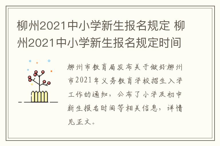 柳州2021中小学新生报名规定 柳州2021中小学新生报名规定时间