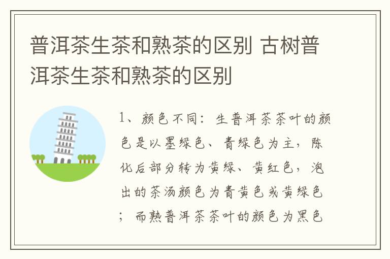 普洱茶生茶和熟茶的区别 古树普洱茶生茶和熟茶的区别