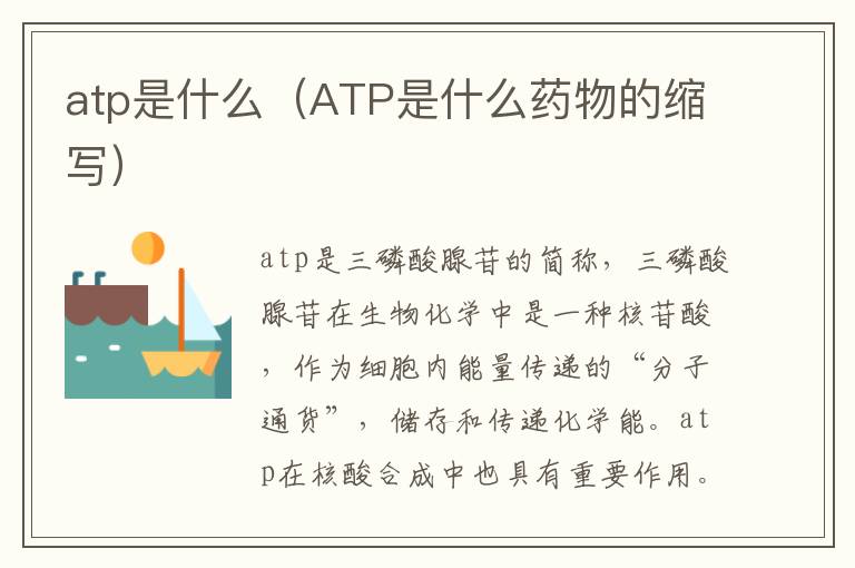 atp是什么（ATP是什么药物的缩写）