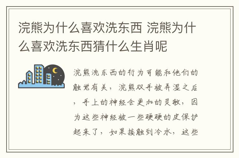 浣熊为什么喜欢洗东西 浣熊为什么喜欢洗东西猜什么生肖呢