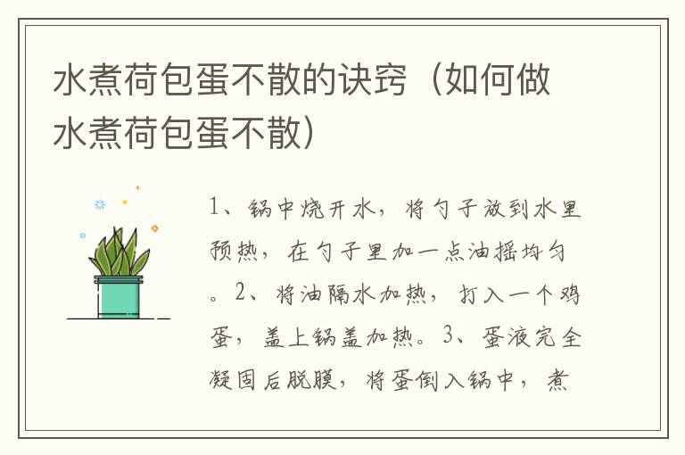 水煮荷包蛋不散的诀窍（如何做水煮荷包蛋不散）