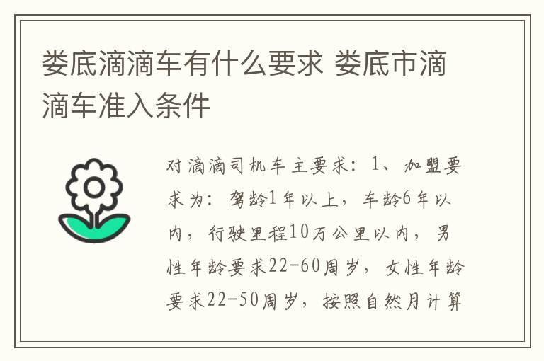 娄底滴滴车有什么要求 娄底市滴滴车准入条件