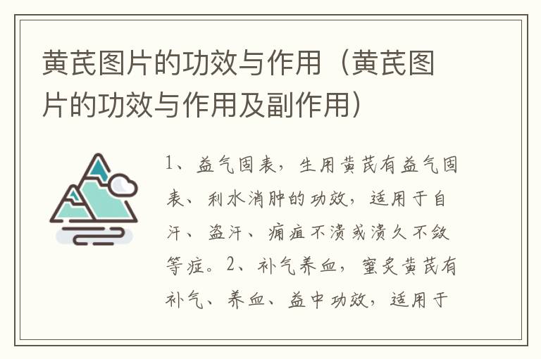 黄芪图片的功效与作用（黄芪图片的功效与作用及副作用）