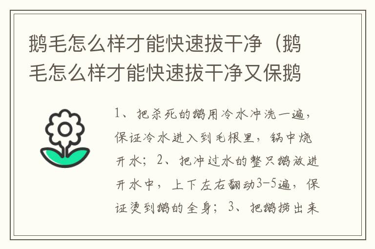 鹅毛怎么样才能快速拔干净（鹅毛怎么样才能快速拔干净又保鹅绒质量）