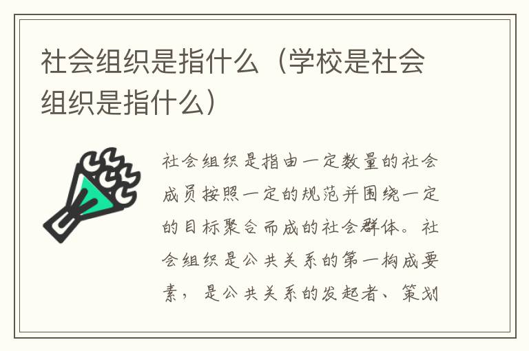 社会组织是指什么（学校是社会组织是指什么）