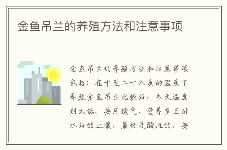 金鱼吊兰的养殖方法和注意事项