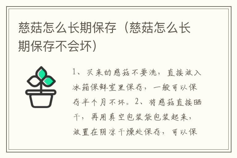 慈菇怎么长期保存（慈菇怎么长期保存不会坏）