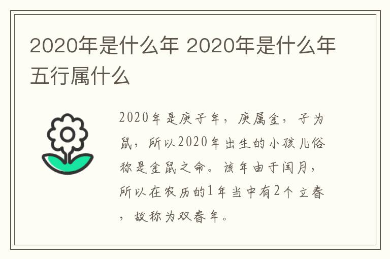 2020年是什么年 2020年是什么年五行属什么