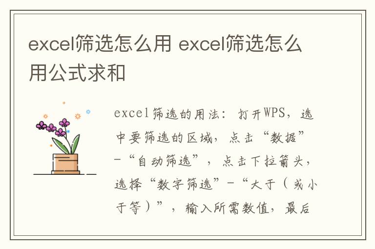 excel筛选怎么用 excel筛选怎么用公式求和