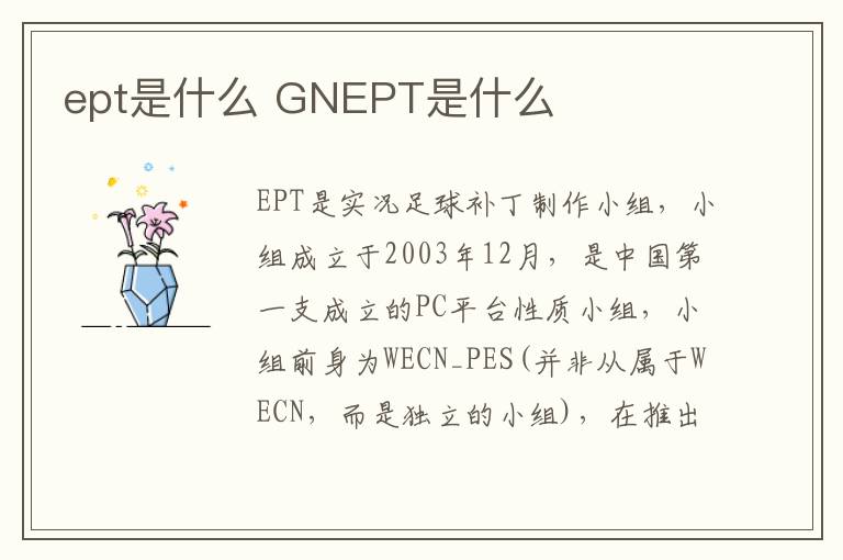 ept是什么 GNEPT是什么