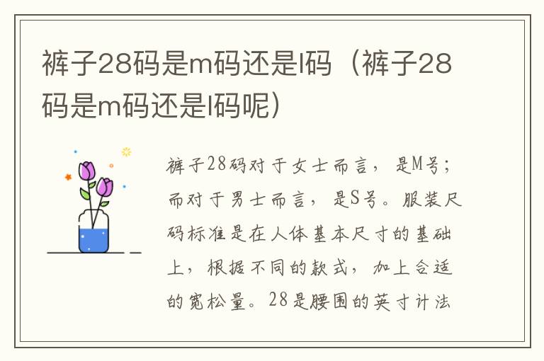 裤子28码是m码还是l码（裤子28码是m码还是l码呢）