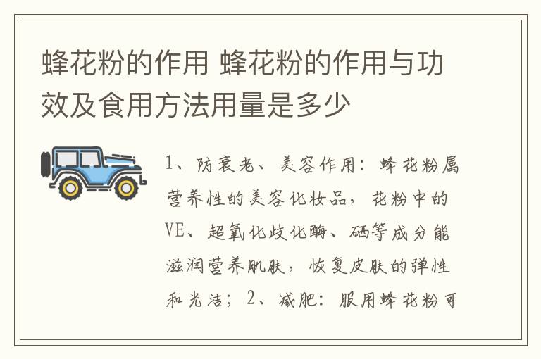 蜂花粉的作用 蜂花粉的作用与功效及食用方法用量是多少