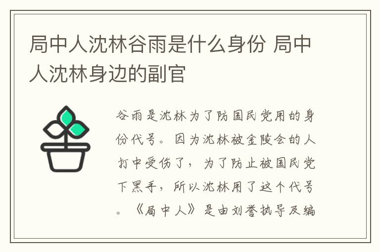 局中人沈林谷雨是什么身份 局中人沈林身边的副官