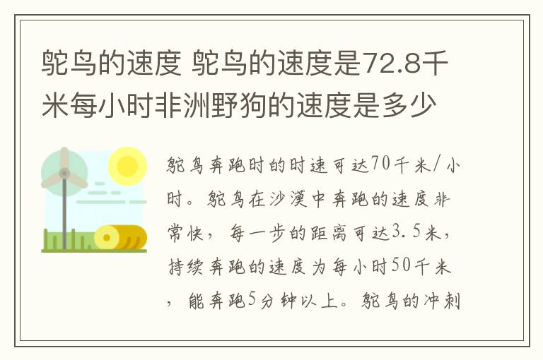 鸵鸟的速度 鸵鸟的速度是72.8千米每小时非洲野狗的速度是多少