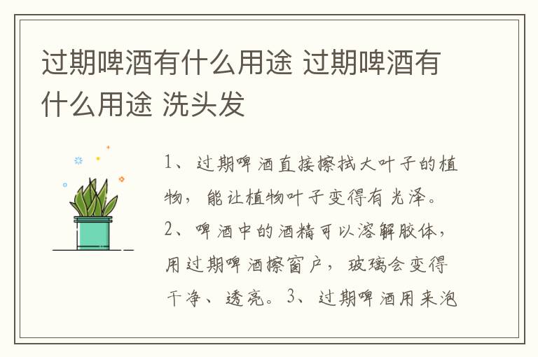 过期啤酒有什么用途 过期啤酒有什么用途 洗头发