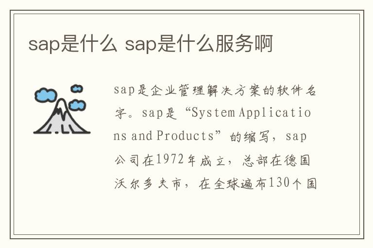 sap是什么 sap是什么服务啊