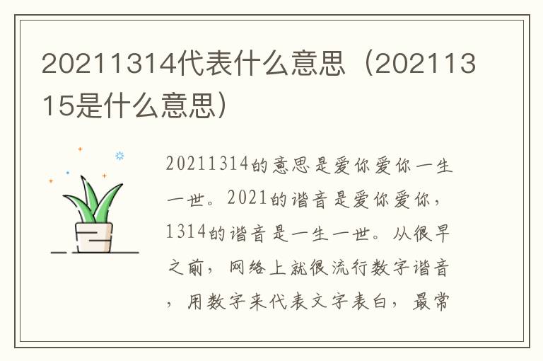 20211314代表什么意思（20211315是什么意思）