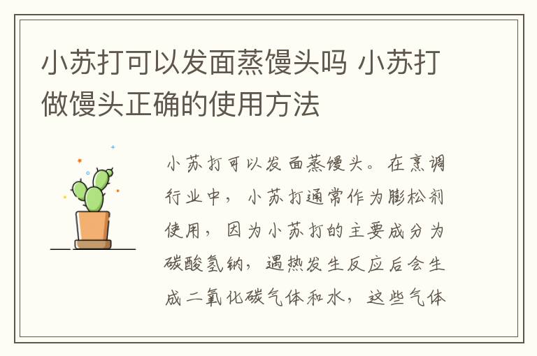 小苏打可以发面蒸馒头吗 小苏打做馒头正确的使用方法