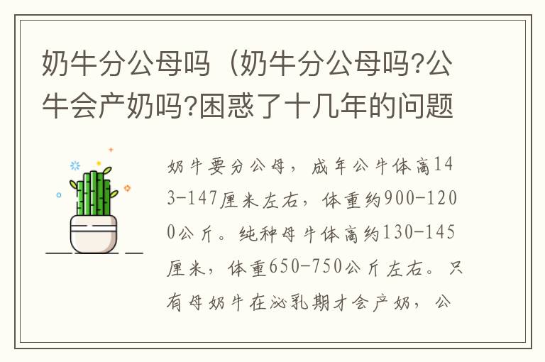 奶牛分公母吗（奶牛分公母吗?公牛会产奶吗?困惑了十几年的问题）