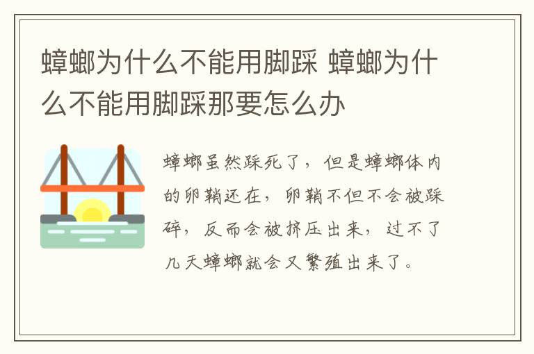 蟑螂为什么不能用脚踩 蟑螂为什么不能用脚踩那要怎么办