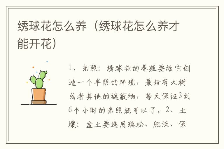 绣球花怎么养（绣球花怎么养才能开花）