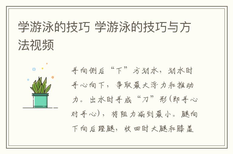 学游泳的技巧 学游泳的技巧与方法视频