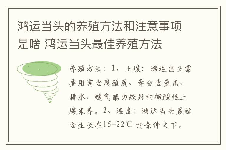 鸿运当头的养殖方法和注意事项是啥 鸿运当头最佳养殖方法