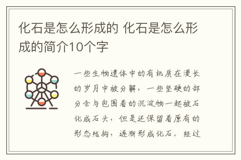 化石是怎么形成的 化石是怎么形成的简介10个字