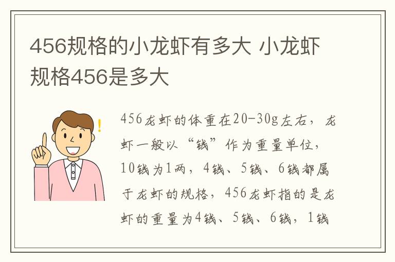 456规格的小龙虾有多大 小龙虾规格456是多大