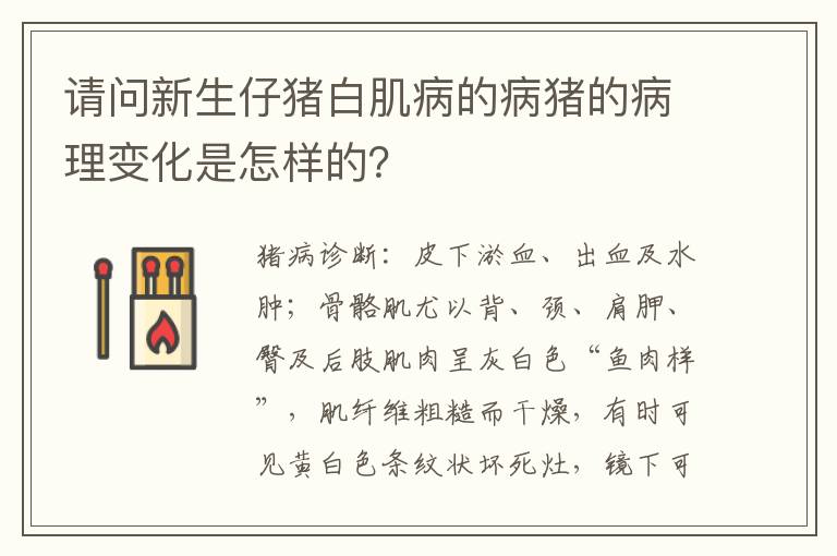 请问新生仔猪白肌病的病猪的病理变化是怎样的？