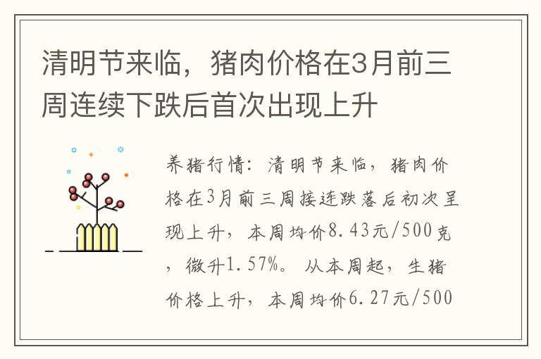 清明节来临，猪肉价格在3月前三周连续下跌后首次出现上升