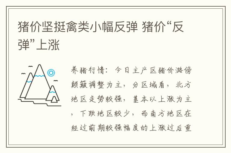 猪价坚挺禽类小幅反弹 猪价“反弹”上涨