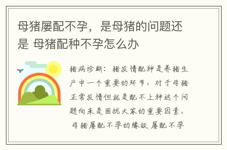 母猪屡配不孕，是母猪的问题还是 母猪配种不孕怎么办