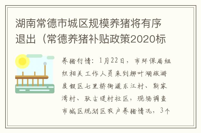 湖南常德市城区规模养猪将有序退出（常德养猪补贴政策2020标准）