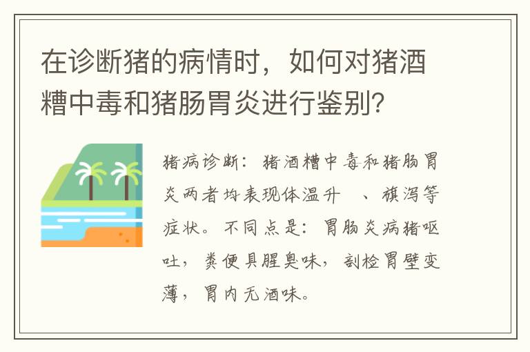 在诊断猪的病情时，如何对猪酒糟中毒和猪肠胃炎进行鉴别？