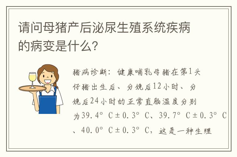 请问母猪产后泌尿生殖系统疾病的病变是什么？