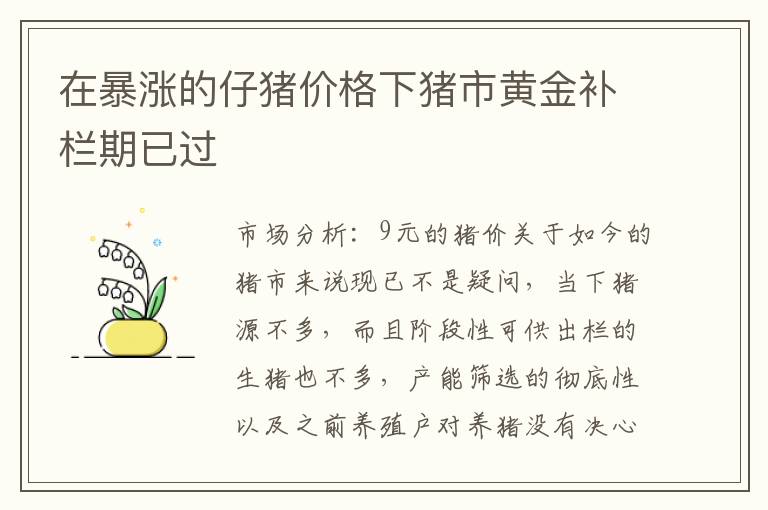 在暴涨的仔猪价格下猪市黄金补栏期已过