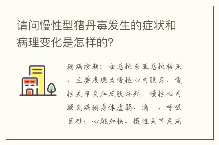 请问慢性型猪丹毐发生的症状和病理变化是怎样的？