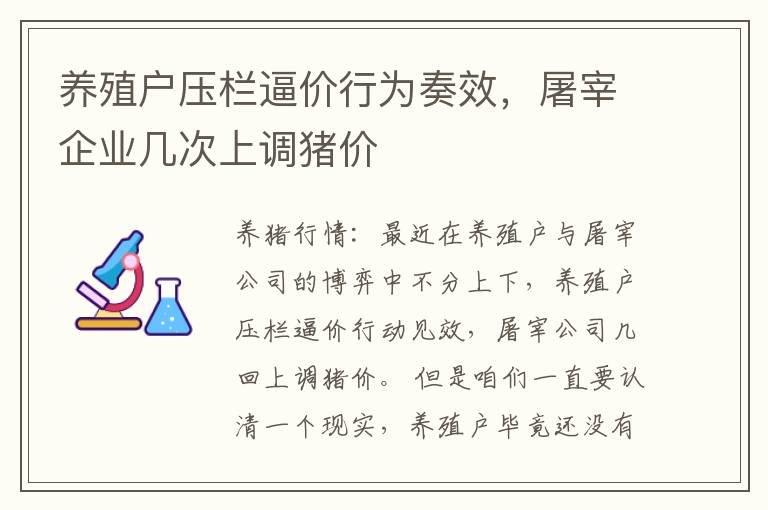 养殖户压栏逼价行为奏效，屠宰企业几次上调猪价