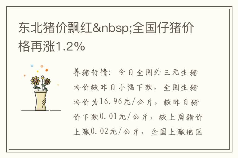 东北猪价飘红 全国仔猪价格再涨1.2%