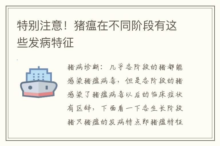 特别注意！猪瘟在不同阶段有这些发病特征