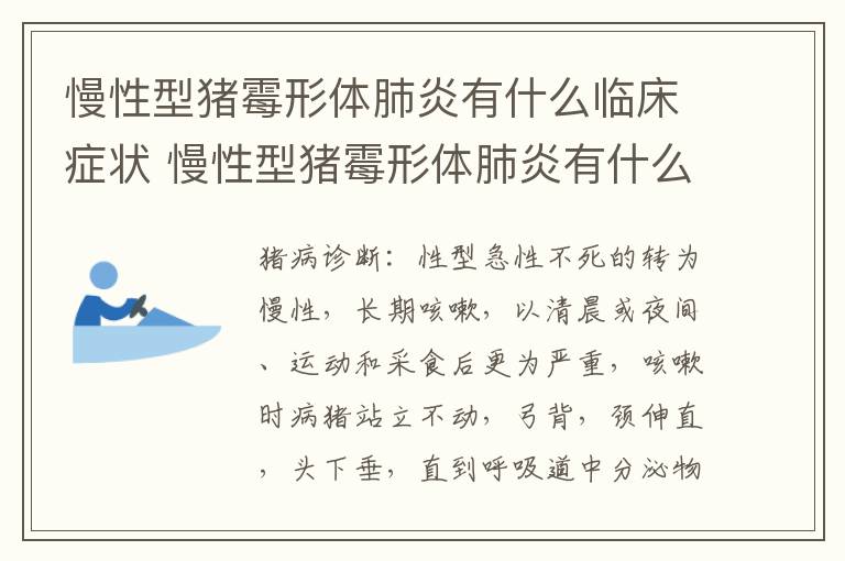 慢性型猪霉形体肺炎有什么临床症状 慢性型猪霉形体肺炎有什么临床症状表现