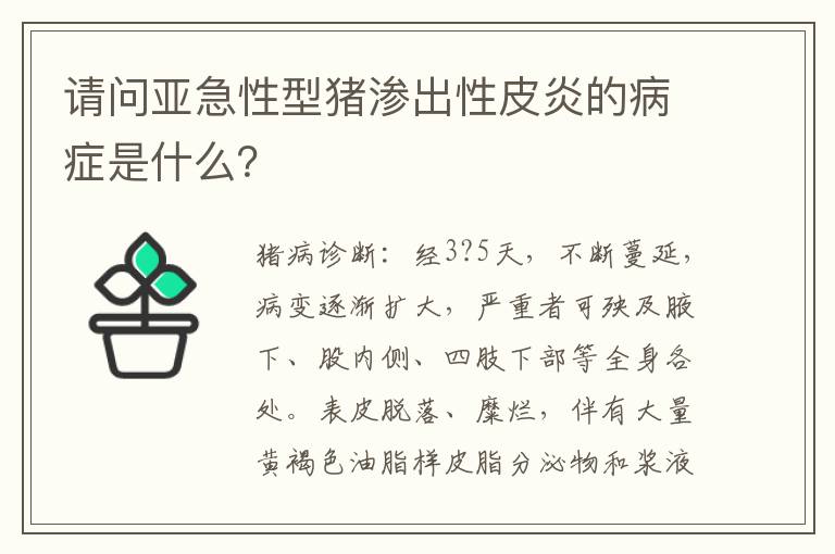 请问亚急性型猪渗出性皮炎的病症是什么？