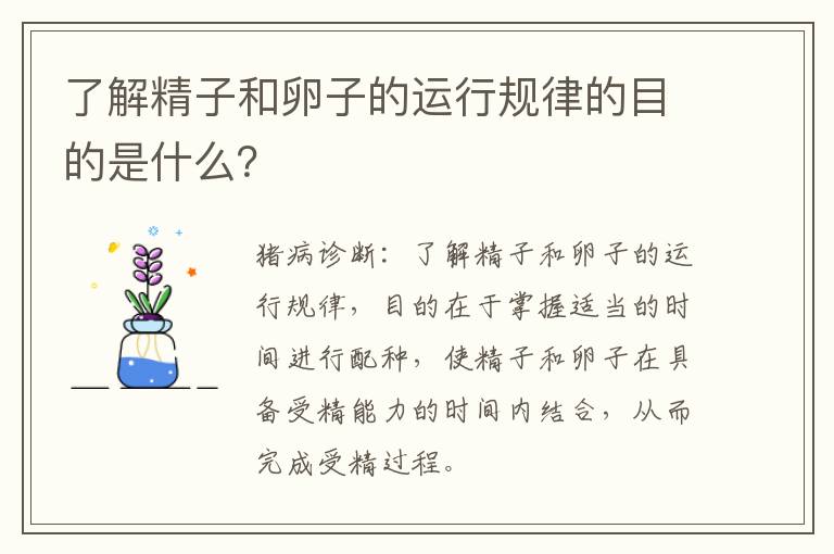 了解精子和卵子的运行规律的目的是什么？