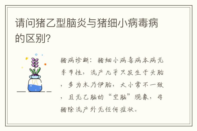 请问猪乙型脑炎与猪细小病毒病的区别？