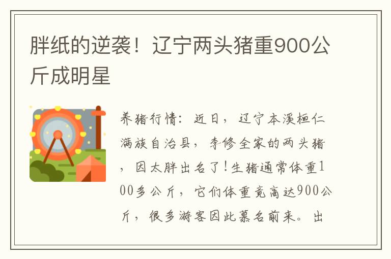 胖纸的逆袭！辽宁两头猪重900公斤成明星