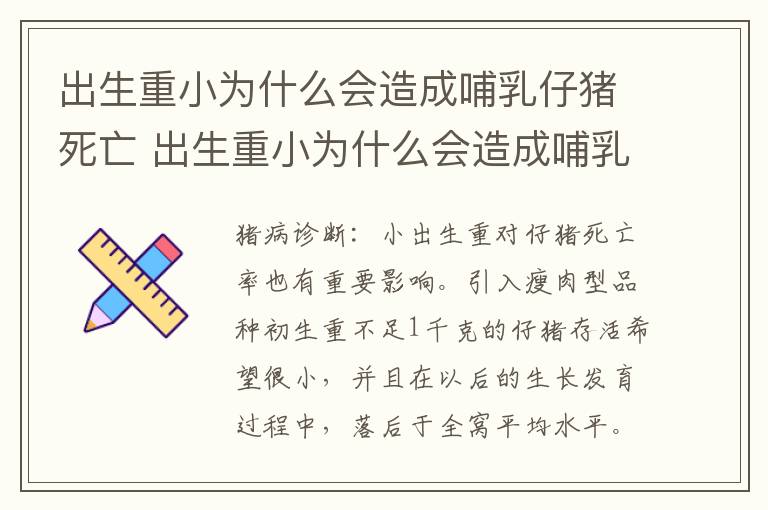 出生重小为什么会造成哺乳仔猪死亡 出生重小为什么会造成哺乳仔猪死亡呢