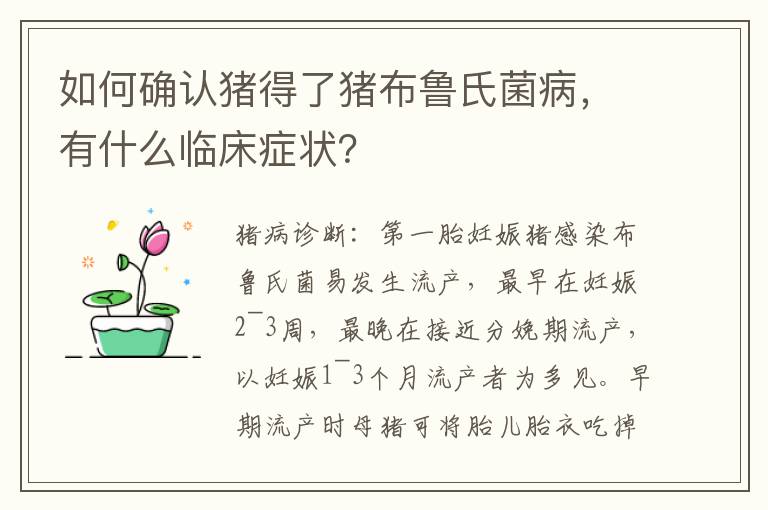 如何确认猪得了猪布鲁氏菌病，有什么临床症状？