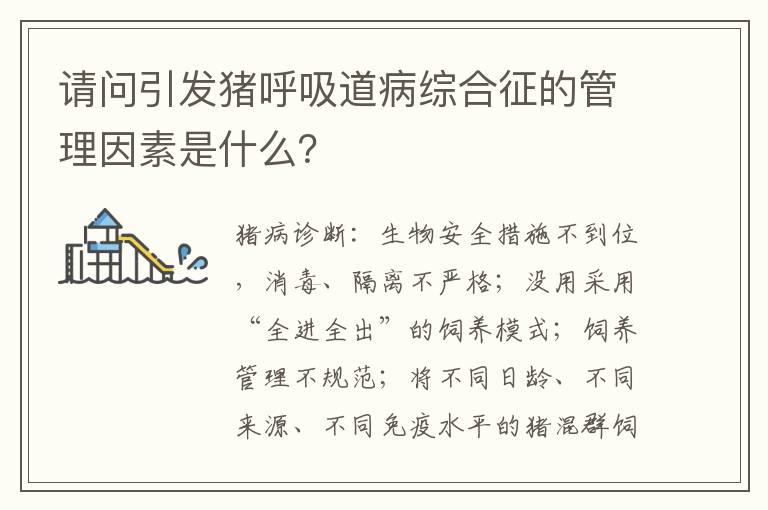 请问引发猪呼吸道病综合征的管理因素是什么？