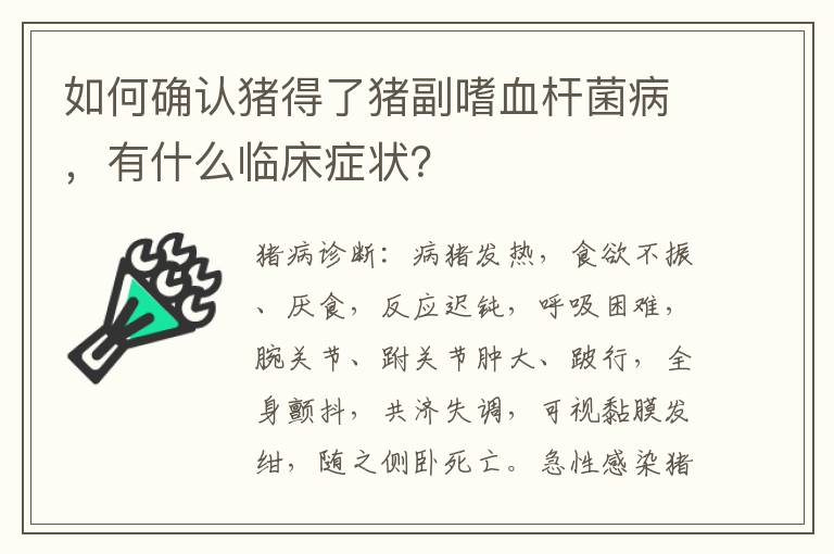 如何确认猪得了猪副嗜血杆菌病，有什么临床症状？